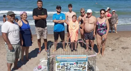 Kuşadası'nda caretta caretta sevinci yaşanıyor