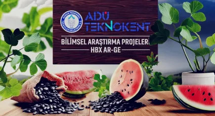 Yaz sıcaklarında karpuz tüketmenin faydaları