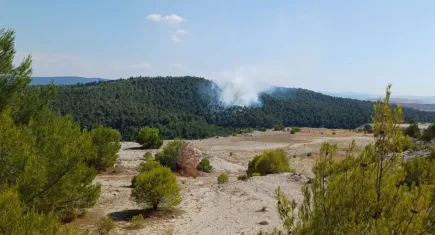 Balıkesir’de orman yangını!