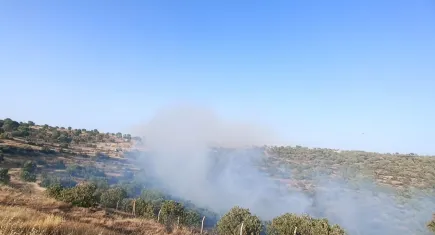 Mardin Midyat yanıyor: Söğütlü, Şenköy, Harmanlı...