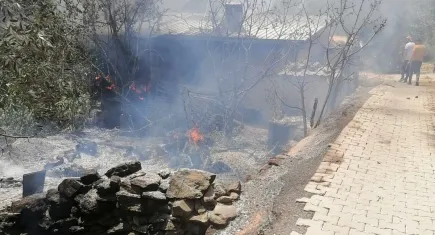 Aydın'daki yangınların bilançosu açıklandı