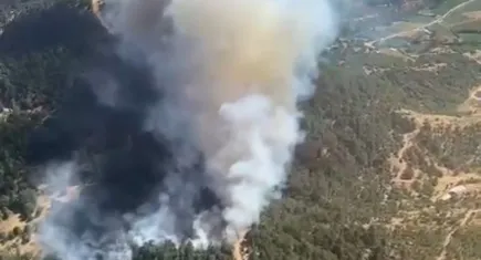 Ödemişte orman yangını