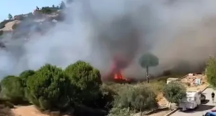 İzmir haber: Foça'da yangın çıktı!
