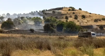 Aliağa'daki yangın kontrol altında