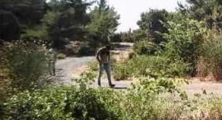 Aydın'da düzensiz göçmenler yakalandı