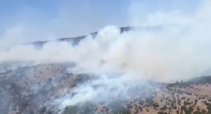 Manisa'da orman yangını çıktı!