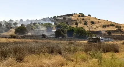 İzmir'de dumanlar yükseliyor: Aliağa'da yangın çıktı!