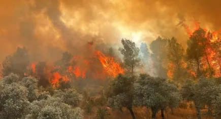 Uzmanı uyardı: Orman yangınlarında kritik eşik daha yeni başlıyor