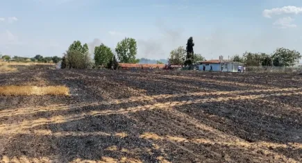 Yangın Edirne’de 500 dönüm araziye zarar verdi