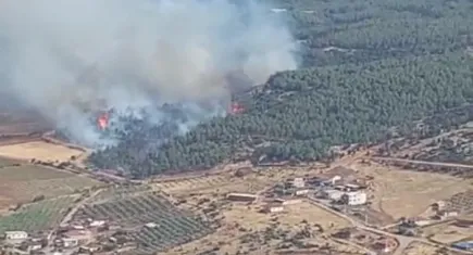 Manisa'da yangın!