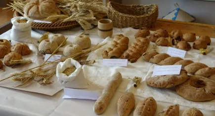 Yozgat'ta antik ekmekler yeniden canlanıyor: Hitit, Sümer ve Roma dönemlerine ait 8 çeşit ekmek üretildi