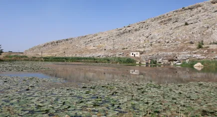 Bu göldeki çiçekleri koparmanın cezası 150 bin lira!