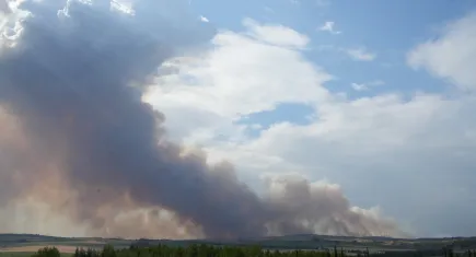 Edirne halkı tedirgin! Bulgaristan'daki yangın sınıra ilerledi!