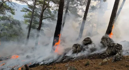 Muğla’daki Cehennem Deresi az kalsın yanıyordu