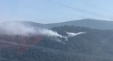 Muğla'daki yıldırım kaynaklı yangınlara hızlı müdahale