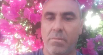 Bodrum'da ağaca çarpan otomobilin sürücüsü hayatını kaybetti