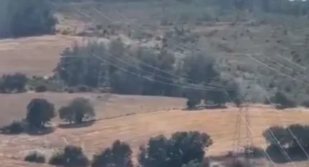 Çanakkale'nin Çan ilçesinde çıkan orman yangını kontrol altına alındı