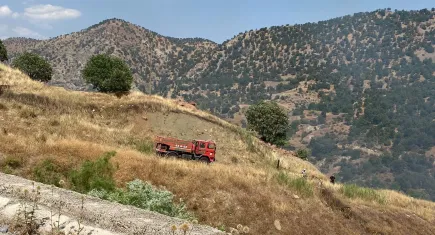 Siirt'te çıkan orman yangını kontrol altına alındı