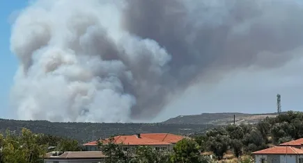 Çeşme'deki yangın kontrol altına alındı!