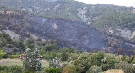 Ekipler seferber oldu: Hatay'’daki Orman yangını kontrol altına alındı