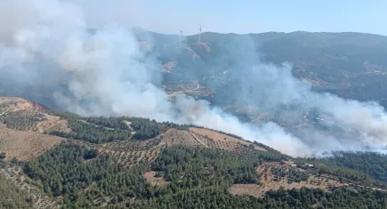 Hatay'da orman yangınına müdahale devam ediyor