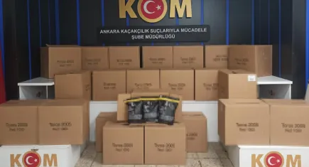 Kamuyu zarara uğratan çete çökertildi!