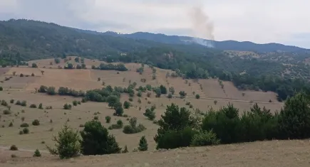 Çorum'da çıkan orman yangını kontrol altına alındı