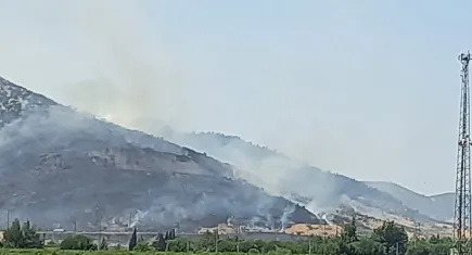 İzmir haber: Selçuk’taki orman yangınına havadan ve karadan müdahale