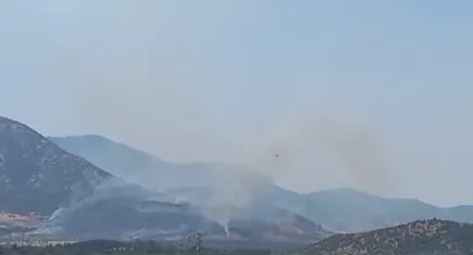 Selçuk'taki orman yangını kontrol altında