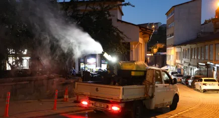 Bitlis'te sokaklar ilaçlanıyor