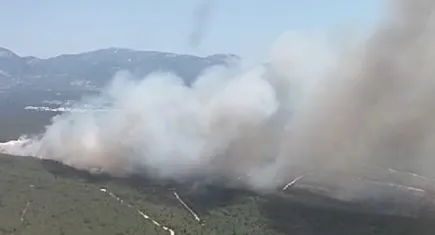 Buca’da orman yangını