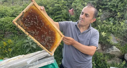 Dünyaca ünlü Anzer Balı'nın satış fiyatı belli oldu