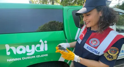 Yalı çapkını tedavi altına alındı