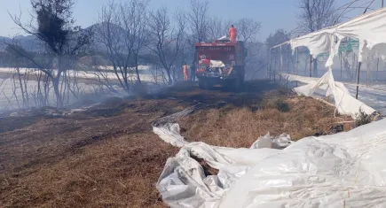 Antalya’da korkutan yangın: Otluk alanda başladı, seraya sıçradı
