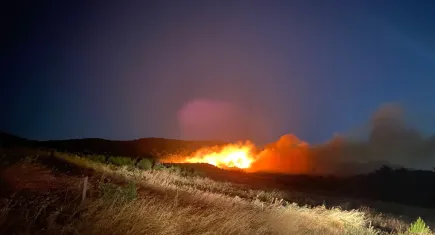 Çanakkale’de orman yangını! Ekipler seferber oldu