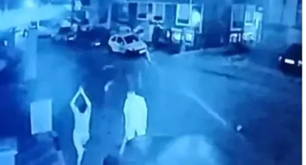 İzmir haber: Köpeğe sopalarla saldırmışlardı! Baba oğul adli kontrol şartıyla serbest