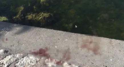 İstanbul'da korkunç cinayet: Önce bıçaklandı, ardından denize atıldı