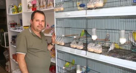 Evinde muhabbet kuşu besleyenler dikkat!