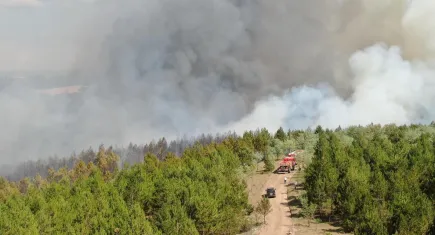 Kastamonu'da  orman yangını  hızla büyüdü!