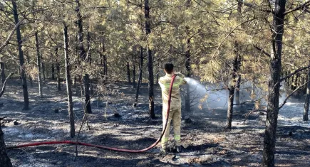Kastamonu'daki orman yangını kontrol altına alındı