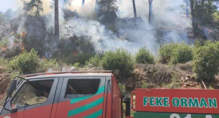 Adana'da alevler yükseldi: Feke'de orman yangını!