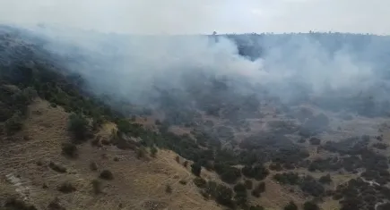 Afyon'da dağlık alanda yangın!