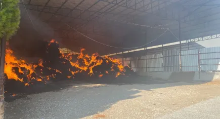 Manisa’daki yangında 2 bin balya saman kül oldu