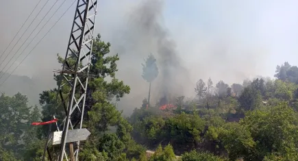 Muğla'da bir evden çıkan yangın ormana sıçradı 