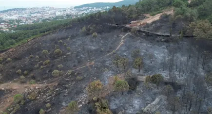 Aydos Ormanı’nın son hali yürekleri burktu