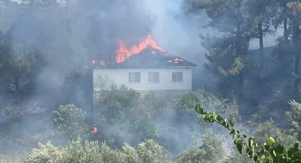 Muğla'da evde başlayıp ormana sıçrayan yangın söndürüldü