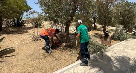 Güvercinada tarihi kimliği ile buluşuyor