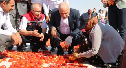 İtalyanların pizza sosu Diyarbakır'dan gidiyor
