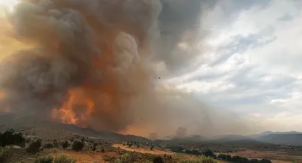 Orman yangınlarıyla mücadele: ABD'de son durum