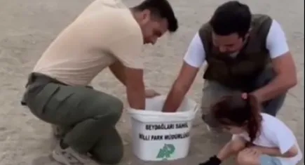 Sahilde mahsur kalan 23 caretta caretta yavrusu denize ulaştırıldı